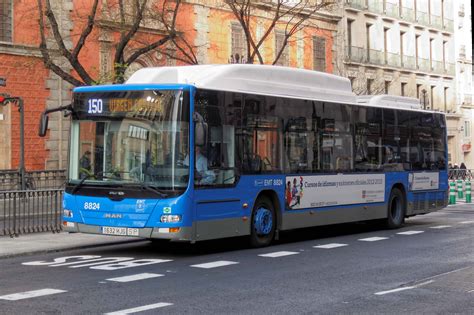 Bus Madrid